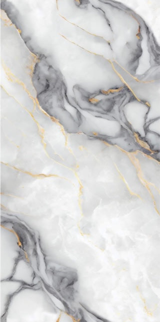 Panneau Gris & Or — Marbre Silver Royal